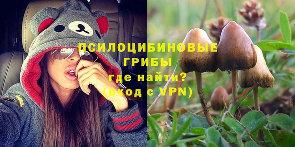 крисы Беломорск