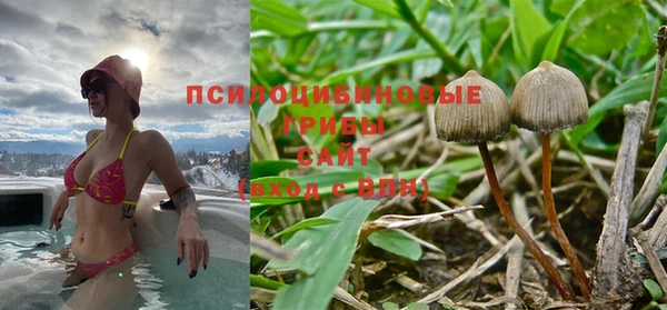 марки nbome Белокуриха