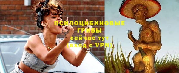 крисы Беломорск