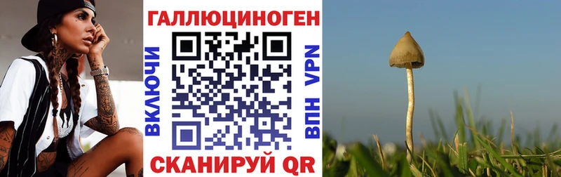 KRAKEN вход  Нарьян-Мар  Псилоцибиновые грибы мицелий  даркнет сайт 